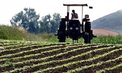 TARGET Başkanı Taluğ: Çiftçilik itibarsızlaştı