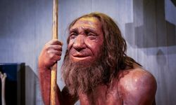145 bin yıl önce yaşamış ilk down sendromu vakası bulundu