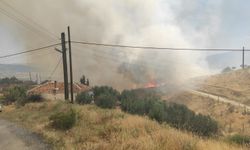 Manisa Alaşehir'de korkutan yangın