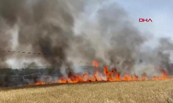 Sondakika | Çanakkale'de tarım arazisinde yangın