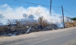 Bursa-İzmir Karayolu'ndaki yangın paniğe neden oldu