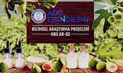 Aydın'da yeni AR-GE çalışması | İğlek Meyvesi