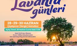 Balıkesir'de Altıeylül Lavanta Günleri rüzgarı
