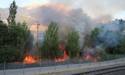 Adana'da ağaçlık alanda çıkan yangın söndürüldü