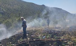 Adana'da çalılıktan ormana sıçrayan yangın kontrol altına alındı
