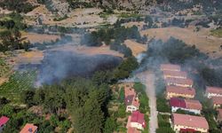 Adana'da örtü yangını kontrol altına alındı