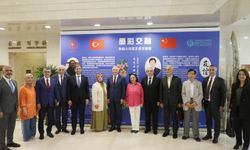 AK Parti Genel Başkan Vekili Ala, Pekin'de Türkiye-Çin resim sergisini ziyaret etti