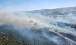 Balıkesir'de ormanlık alanda etkili olan yangın kontrol altına alındı