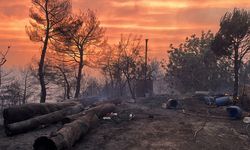 GÜNCELLEME 2 - Denizli'de 7 ilçede çıkan orman yangınlarından 6'sı kontrol altına alındı