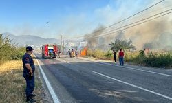 GÜNCELLEME - İzmir'de zirai alanda çıkan yangın kontrol altına alındı