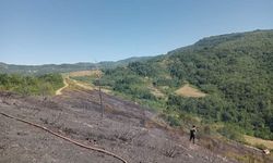 GÜNCELLEME - Kastamonu'da ormanlık alanda çıkan yangın söndürüldü