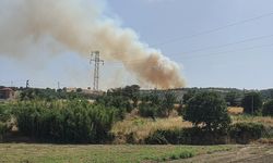GÜNCELLEME - Manisa Demirci'de ormana sıçrayan yangın kontrol altına alındı