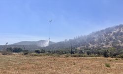 GÜNCELLEME - Muğla'nın Milas ilçesinde çıkan orman yangını kontrol altına alındı