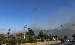 İzmir'de zirai alanda çıkan yangına müdahale ediliyor