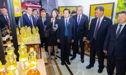 Kazakistan ile Çin arasında 629,1 milyon dolarlık işbirliği anlaşmaları imzalandı