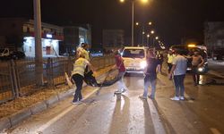 Samsun'da köpeğe vurmamak için manevra yapınca bariyere çarpan araçtaki 3 kişi yaralandı