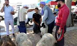 Şanlıurfa'daki hayvan pazarlarında hareketlilik sürüyor