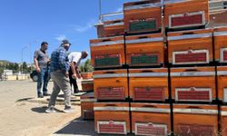 Tunceli'de arıcılara yüzde 100 hibeli kovan ve ekipman dağıtıldı