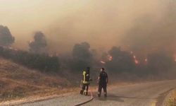 GÜNCELLEME - Aydın'da maki yangını | Ormanlık alana sıçradı!