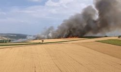 Bursa'da yangında 80 dönüm buğday kül oldu