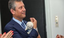 CHP Lideri Özgür Özel, yavru kediyi sahiplendi