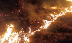 Denizli'de yangınla mücadele 21 saattir devam ediyor
