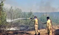 Edirne'de üç köye sıçrayan yangın söndürüldü | Yangın anı kamerada!