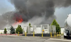 Gebze'de palet fabrikasında yangın | Müdahale sürüyor