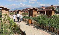 Menderes'ten yasadışı hobi bahçelerine müdahale