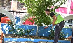 İncirliova’da Belediye ekiplerinin sinekler ile mücadelesi