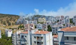 İzmir'de Aliağa ilçesinde orman yangını
