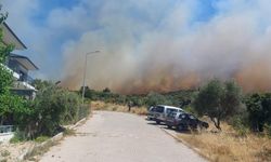 İzmir’de bir günde 18 yangın | 11'i kontrol altına alındı