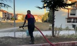 Kütahya'daki yangına hızlı müdahale