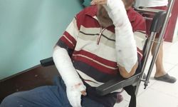 Manyas'ta köpek saldırısında yaşlı adam ciddi yaralandı!