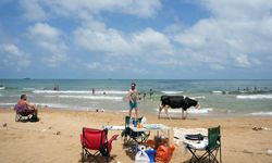 Özel plajlar pahalı | Ücretsiz plajlar kirli