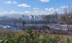 Samsun’da çalılık ve otluk alanda yangın çıktı