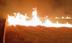 Batman'da anız yangını | 15 dönüm arazi zarar gördü
