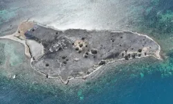 Seferihisar Çiçek Adası alev alev yandı