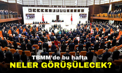 TBMM'de bu hafta neler görüşülecek?