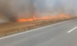 Tekirdağ'da 180 dönüm ekili buğday yandı; işçiler dumana boğuldu