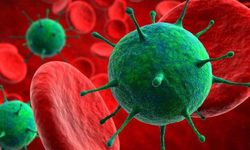 Güney Afrika'da yeni virüs ortaya çıktı | 2 ölü var