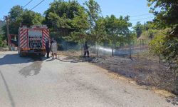 Yalova Çınarcık’ta arazi yangını paniği