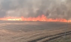 Siverek'te büyük yangın | 100 dönüm arazi küle dönüştü!