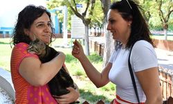 Manisa Büyükşehir Belediyesi'nden sokak hayvanlarına destek