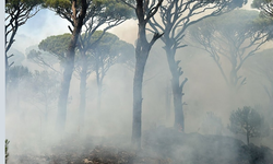 Bozdoğan da yıldırım kaynaklı yangın çıktı