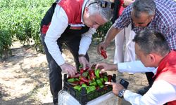 İzmir'in 120 yıllık coğrafi işaret tescilli lezzeti