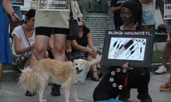 Hayvanseverlerin protestosu 6. güne girdi! "Kabul etmiyoruz"
