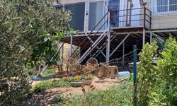 Depremin vurduğu ilde ‘prefabrik ev’ cinayeti | Bir kişi öldü