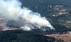 Manisa'da orman yangını! Havadan ve karadan müdahale sürüyor