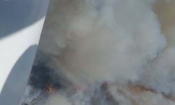 İzmir Bornova'da orman yangını paniği! Alevler büyüyor